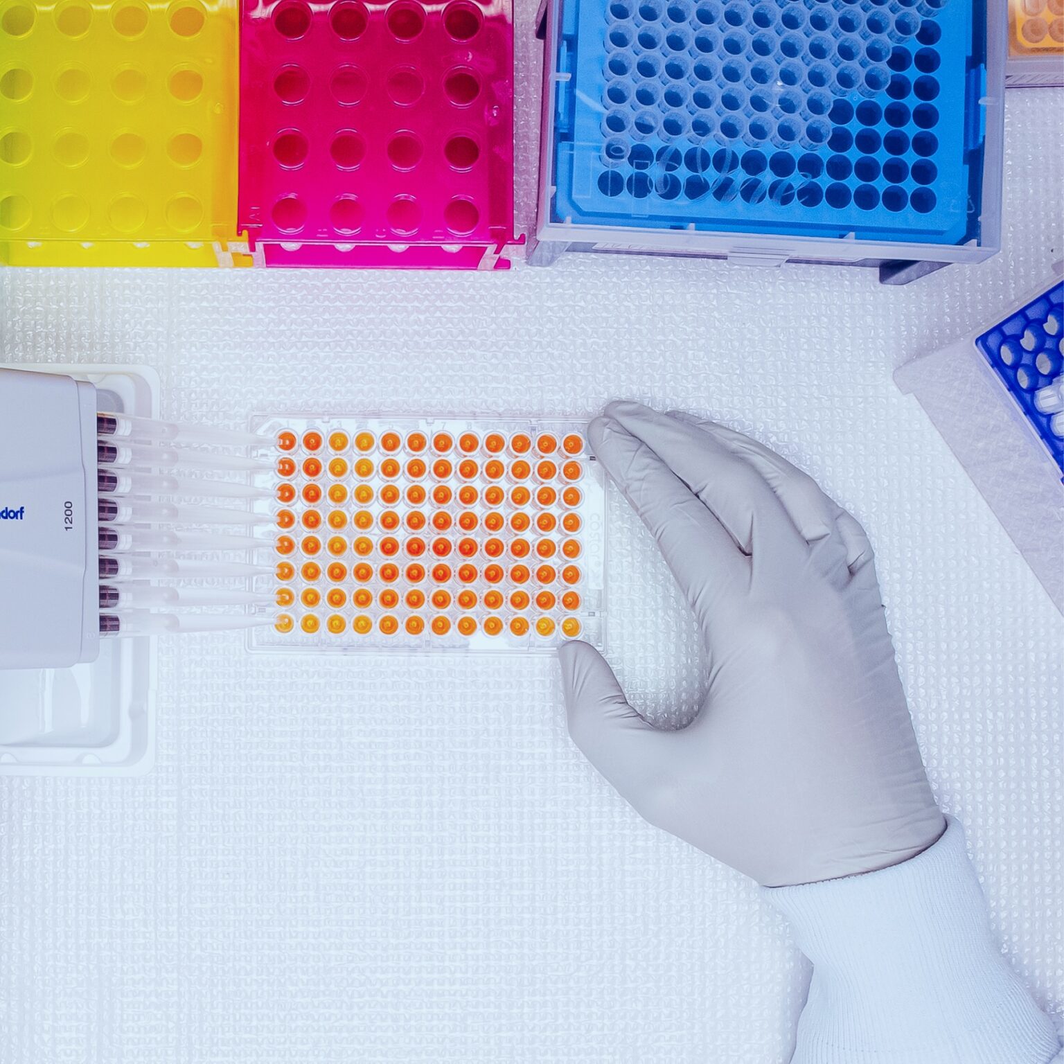 WE2A4888crop2 Erik Tucker 1